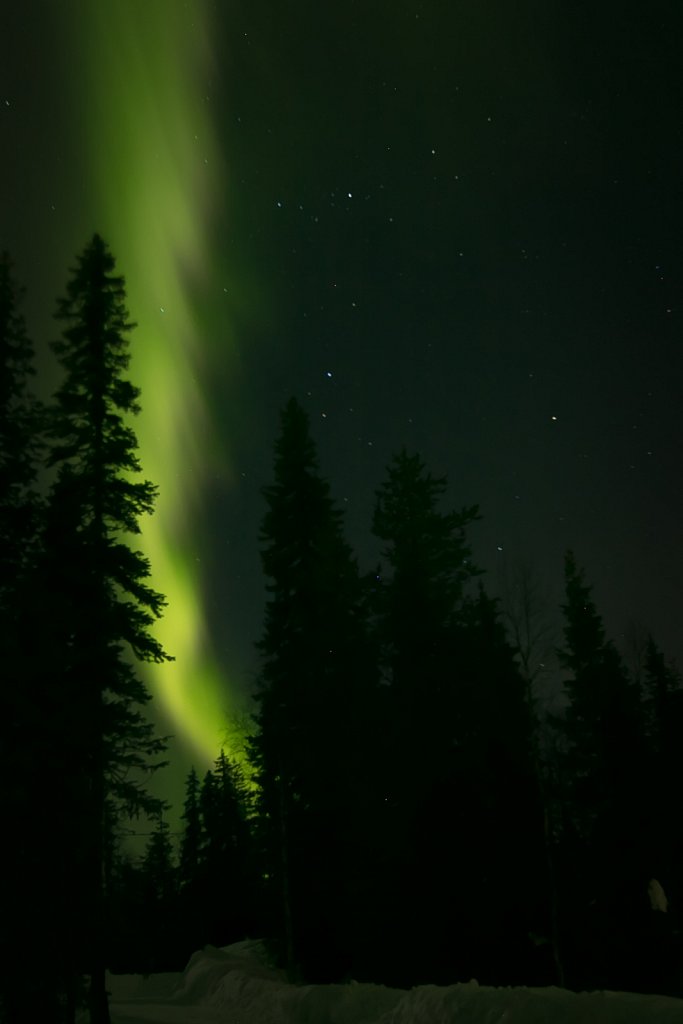 2016-03-Laponie-0942.jpg