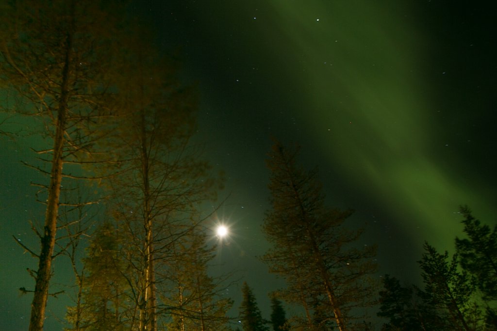 2016-03-Laponie-0941.jpg